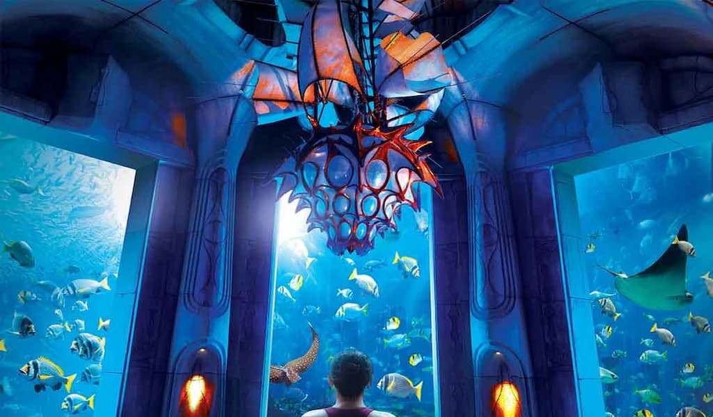 The-Lost-Chambers-Aquarium